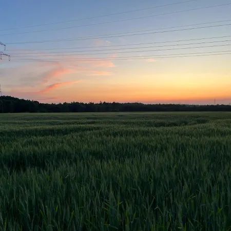 Przytulny Goscinny Lawenda Z Netflixem I Konsola Ps4, Bezplatny Parking Stettino