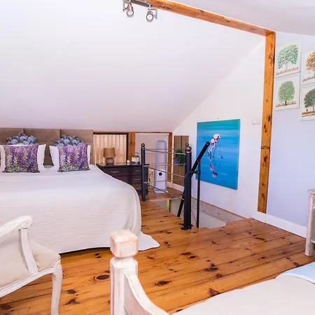 Przytulny Goscinny Lawenda Z Netflixem I Konsola Ps4, Bezplatny Parking Appartamento