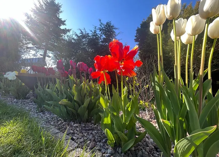 Lägenhet Przytulny Goscinny Lawenda Z Netflixem I Konsola Ps4, Bezplatny Parking