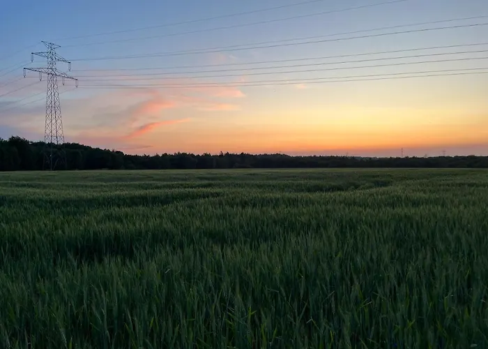 Przytulny Goscinny Lawenda Z Netflixem I Konsola Ps4, Bezplatny Parking Szczecin